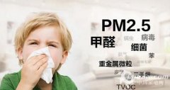 國標當(dāng)頭棒喝 空氣凈化器能活多久?