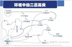各行業(yè)二惡英污染產(chǎn)生與治理及對(duì)比表