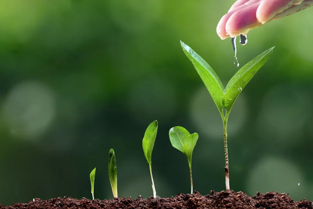 植樹(shù)節(jié)|種與收的平衡之道